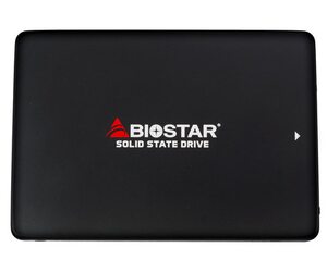 Жесткий диск SSD Biostar SM120S2E31