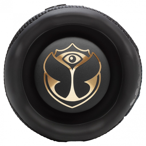 Портативная колонка JBL Flip 7 Tomorrowland
