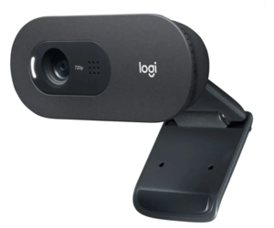 Веб-камера Logitech HD Webcam C505