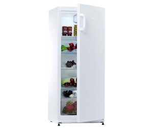 Холодильник Snaige C29SM-T1002F1