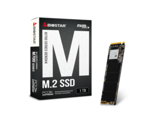 Жесткий диск SSD Biostar M760-1TB