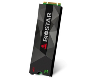 Жесткий диск SSD Biostar M500 M.2 NVMe 1.2 512 ГБ