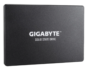Твердотельный накопитель GIGABYTE SSD 256GB (GP-GSTFS31256GTND)