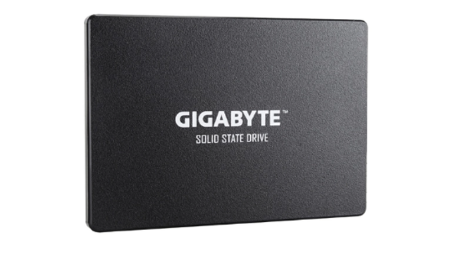 Твердотельный накопитель GIGABYTE SSD 256GB (GP-GSTFS31256GTND)